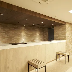 *** Hotel Sotetsu Fresa Ginza Sanchome Japonia